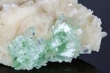 Green Apophyllite Flowers on Stilbite Crystals - India #176818-2
